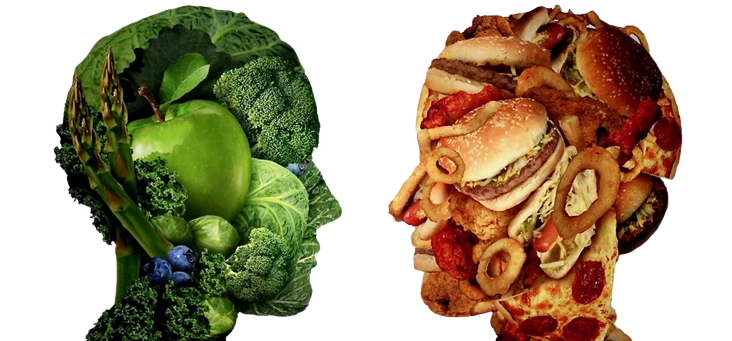 https://www.revistavoix.com/wp-content/uploads/2022/03/logo.png - Dra. Glena Olliver Nutricionista -