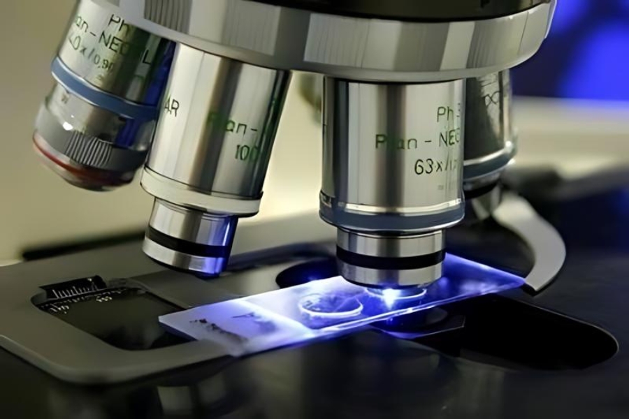 Revista Voix - Nuno Matos - Microscopia de Campo Escuro. https://www.revistavoix.com/wp-content/uploads/2022/03/logo.png - Nuno Matos - Microscopia de Campo Escuro. -