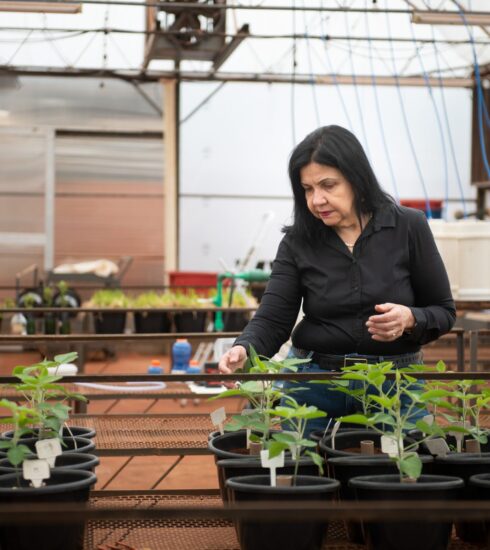 Revista Voix - Mariangela Hungria e a Revolução Sustentável na Agricultura https://www.revistavoix.com/wp-content/uploads/2022/03/logo.png - Mariangela Hungria e a Revolução Sustentável na Agricultura -