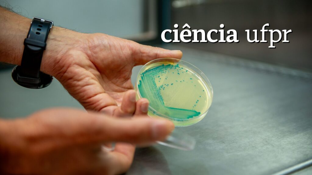 Revista Voix - Mariangela Hungria e a Revolução Sustentável na Agricultura Bactérias fixadoras de nitrogênio em microscópio