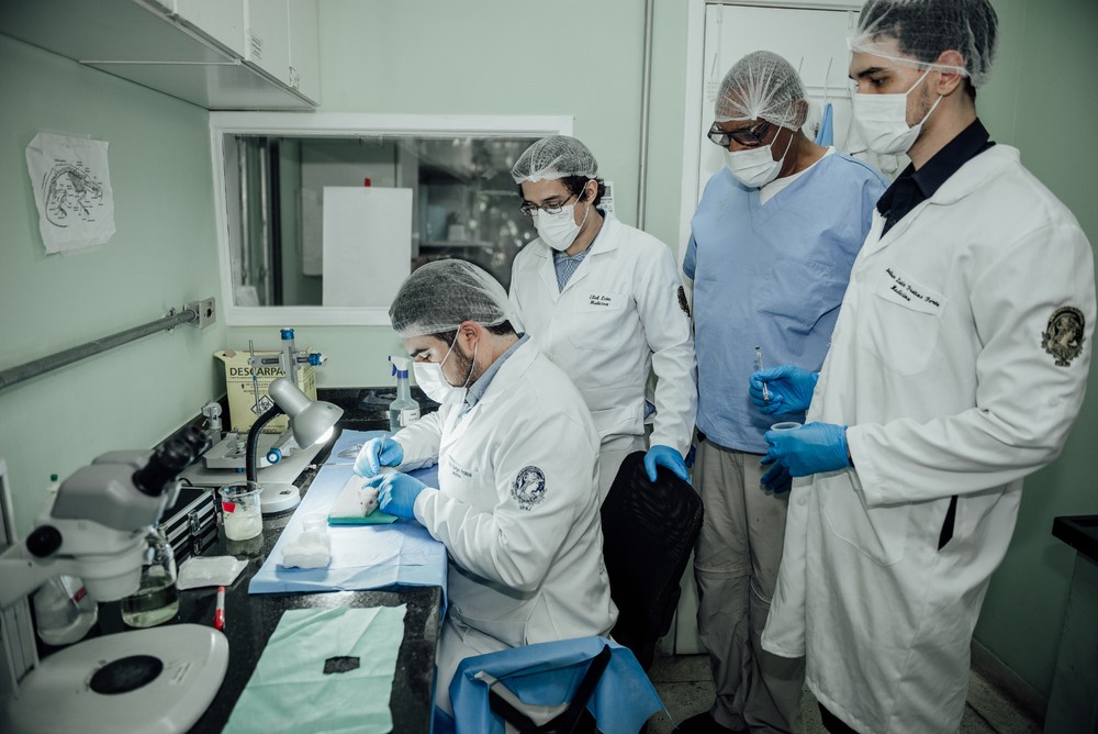 https://www.revistavoix.com/wp-content/uploads/2022/03/logo.png - Tatiana Sampaio: a cientista brasileira que revoluciona a regeneração neural - mpox